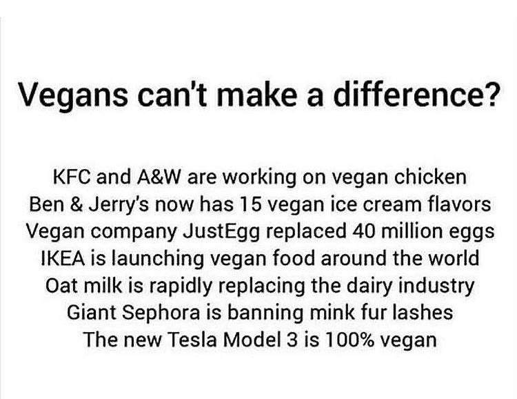 Can Vegan make a difference in the society ? Yes we can. Here is the simple example of How Vegan can make a social change #veganstrong #veganrecipe #plantbased #veganstrength #veganmealplan #veganfitness #veganpower #veganbodybuilder #eatplants #plantbasedfitness #GoVegan #Vegan