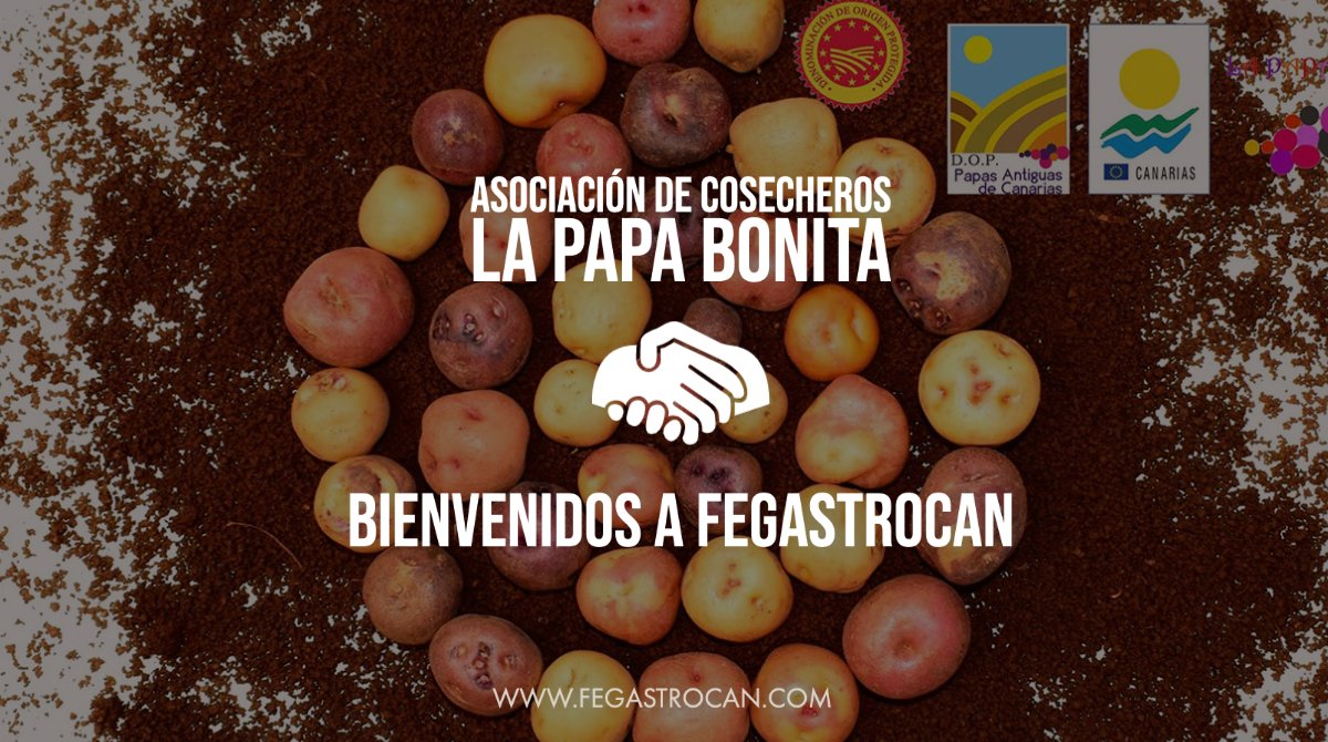 ¡¡Bienvenidos a la Asociación de cosecheros La Papa Bonita.!!
Gracias por compartir conocimientos y esfuerzos con nosotros y la #gastronomiacanaria