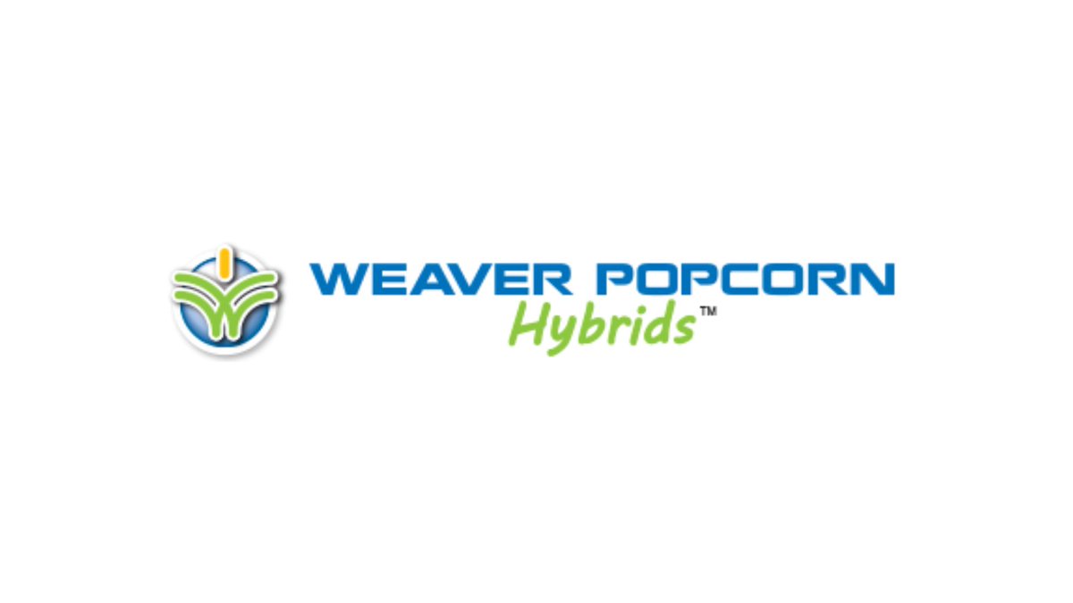 #Agbioscience job opening: Weaver Popcorn Hybrids seeks an individual to develop and execute a popcorn sales program over multiple regions including both domestic and international. Learn more: ow.ly/9LN150DreAh