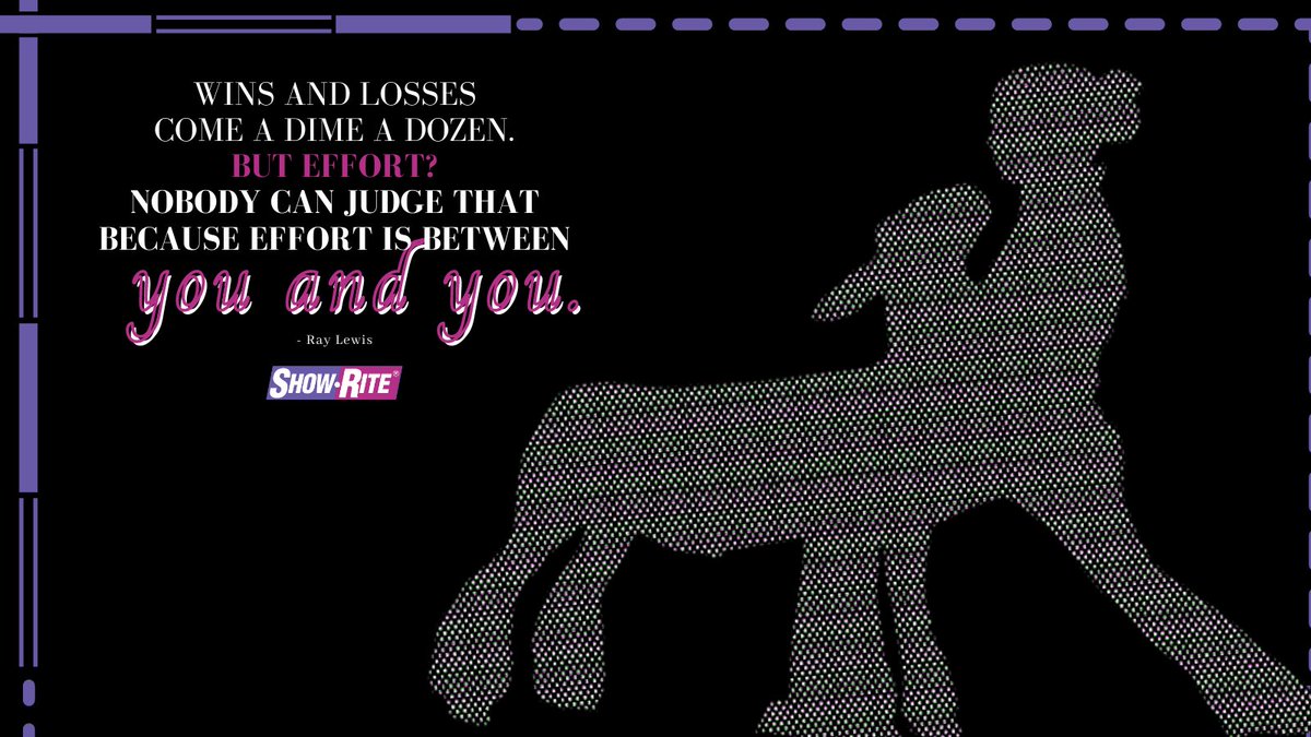 Effort will get you pretty far in this game. Are you showing up on a daily basis to put in the work?

#showrite #teamshowrite #stockshowkids #stockshowlife