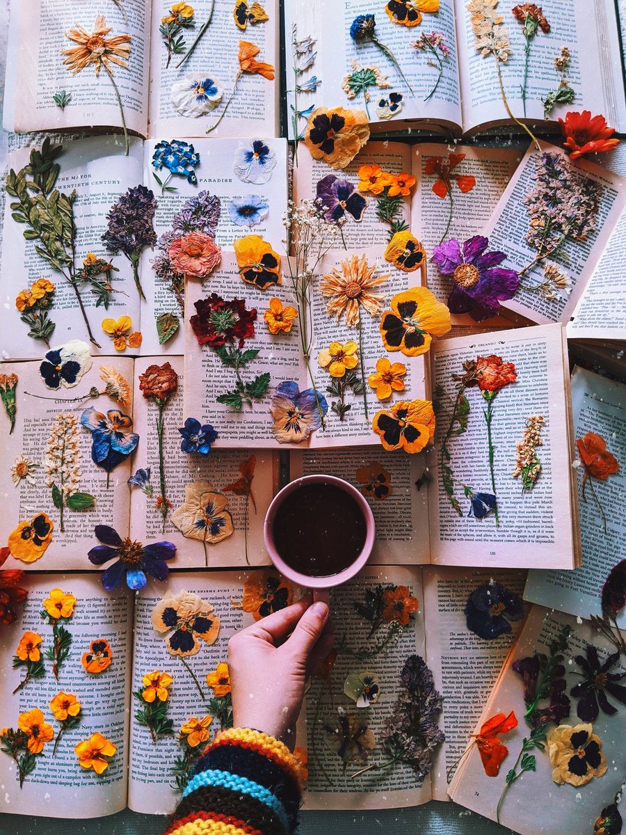 amy nelson 🌼 tweet media