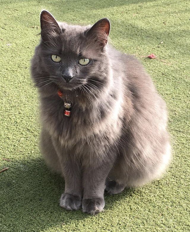 Kit Bailey tweet media