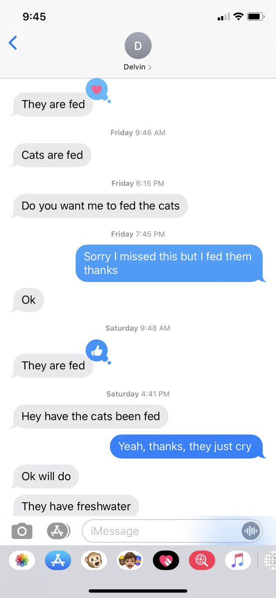 POV: your uncle just fed the cats