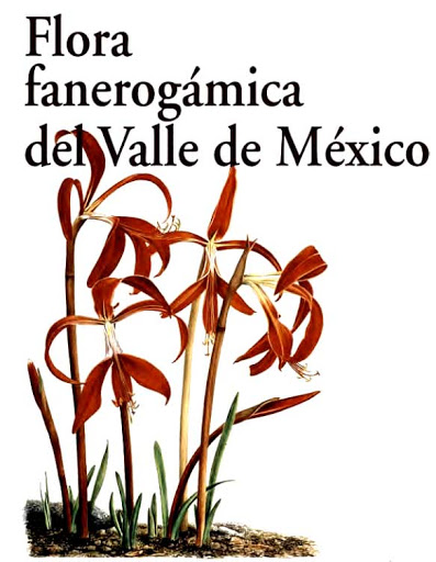 Y ¿Cómo podemos conocer la flora nativa de nuestra zona?, pues generalmente yo recomendaría usar textos académicos y listados de flora que hacen los biólogos. Pero hay muchas apps de ciencia ciudadana que comparten listados gratuitos y a todo color, como los de iNaturalist.