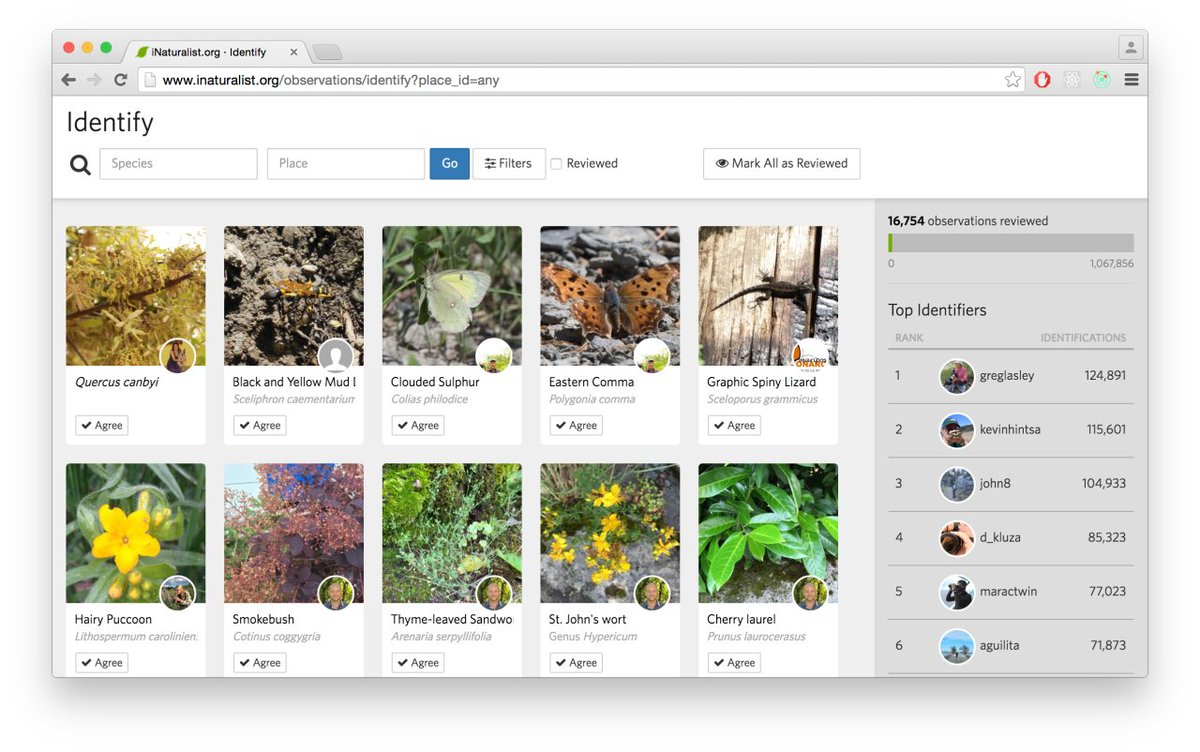 Y ¿Cómo podemos conocer la flora nativa de nuestra zona?, pues generalmente yo recomendaría usar textos académicos y listados de flora que hacen los biólogos. Pero hay muchas apps de ciencia ciudadana que comparten listados gratuitos y a todo color, como los de iNaturalist.