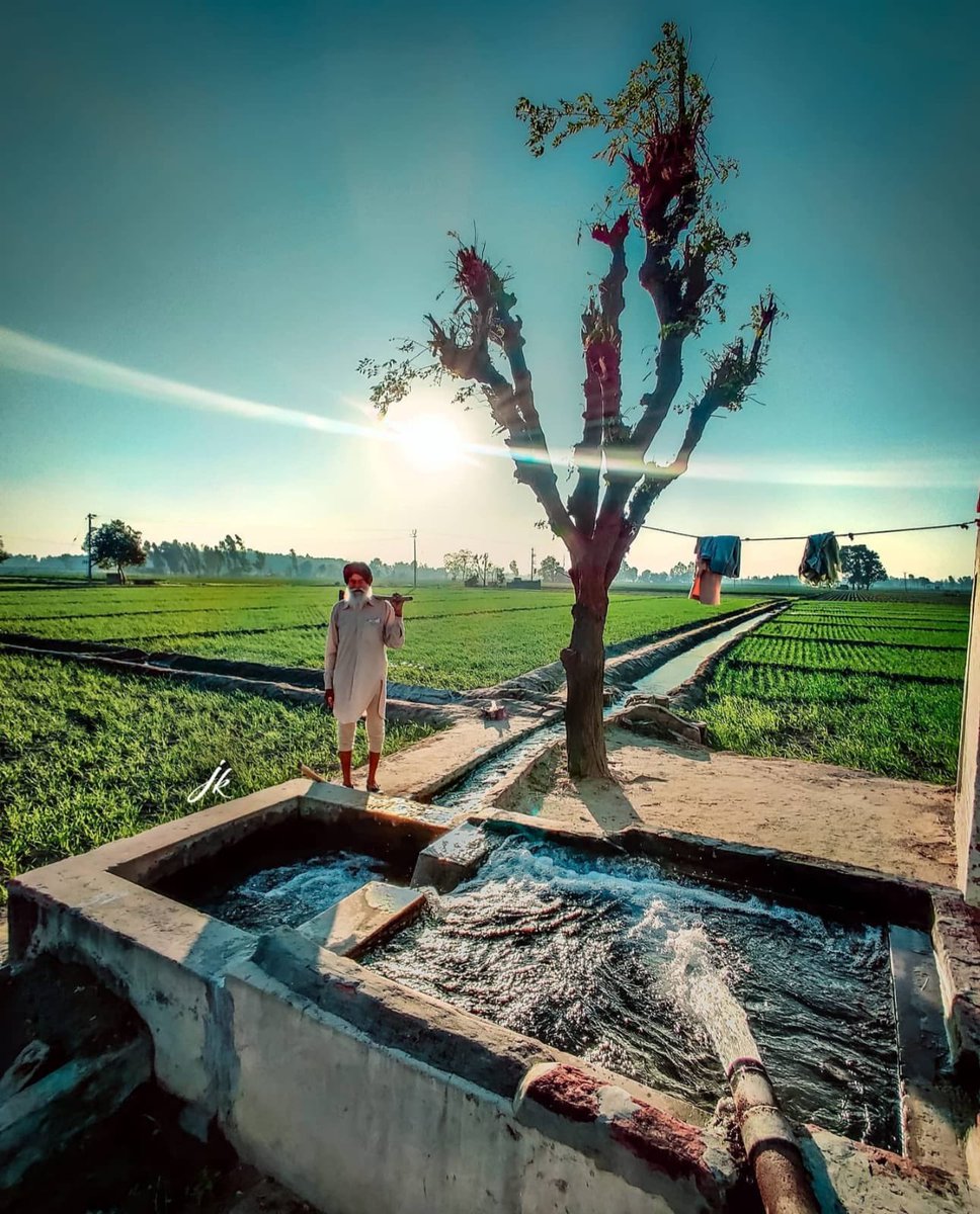 1/2 <a href="/holyhead_school/">Holyhead School</a> serve a large population from an Indian background. We have felt their warmth and love for years.Our unity is our strength.We stand with the millions of peaceful...
#istandwithfarmers #farmersprotest #nofarmersnofood 
Image credits: <a href="/SaffronStudios/">Saffron Studios</a> <a href="/jkphotogs/">JK Photography</a>