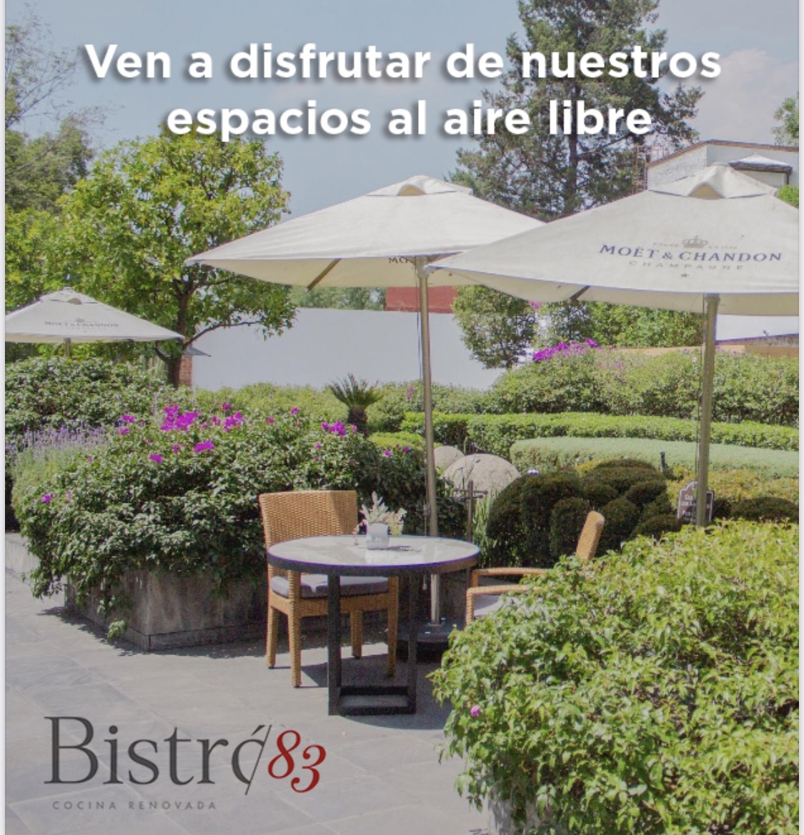 ¡Disfruta el delicioso menú de @83bistro! Visita su terraza al aire libre y siéntete seguro con todas las medidas preventivas con las que cuentan.
#mesasegura #reactivarsinarriesgar #sirviendoaméxico #méxicounido #cdmx #queremoscomer #medidaspreventivas https://t.co/cWa5YCfBgn