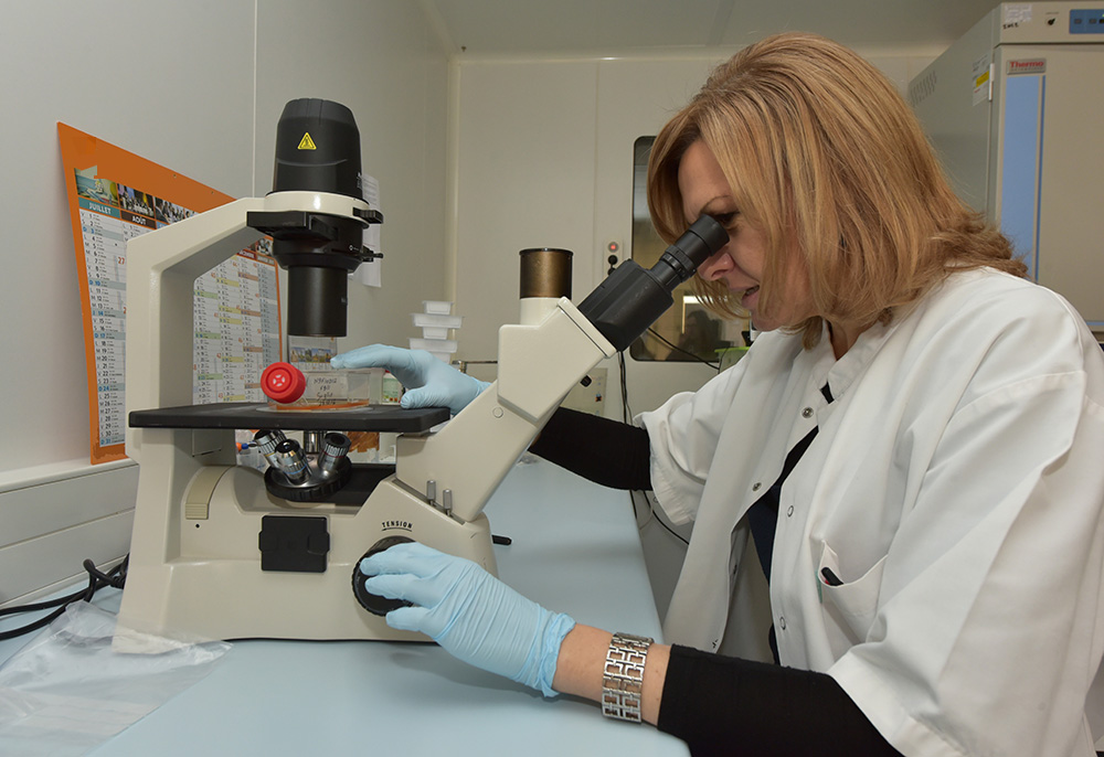 lepopu_eco's tweet image. À #Limoges, @B_Cell_Design a mis au point un test et un traitement contre le #Covid_19

lepopulaire.fr/limoges-87000/…

#sante #medicament #innovation