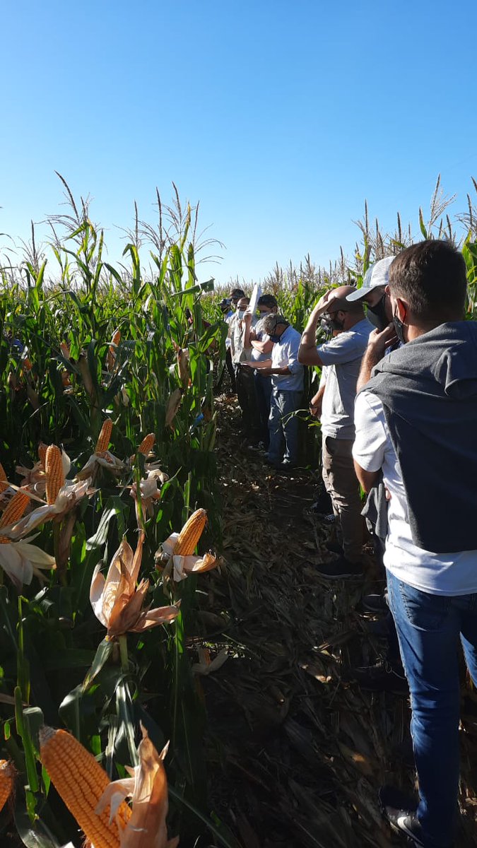 Damián Scarabotti tweet media