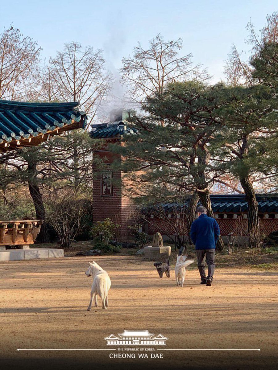 TheBlueHouseKR's tweet photo. 찡찡이, 마루, 토리, 곰이, 그리고 문재인 대통령의 소소한 일상을 사진과 함께 전합니다. 대통령은 이번 설 연휴 가족모임을 하지 않고 관저에서 반려묘, 반려견과 지낼 예정입니다. 어제, 관저에서 진행된 국민과의 영상통화 후, 대통령은 참모들에게 관저에 있는 청와대 식구들 소식을 전했습니다. https://t.co/vcfDU4AZe5