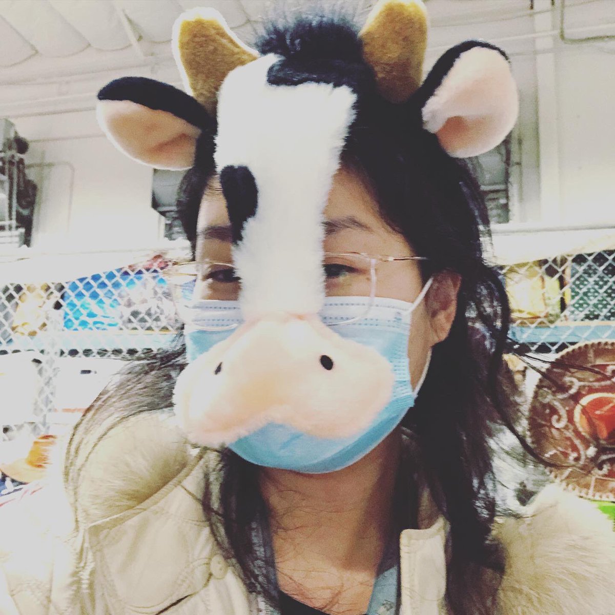 heulangel's tweet photo. Happy New Year COWS #lunarnewyear #cny #flowers #setshenanigans https://t.co/ri97Is0Z4g