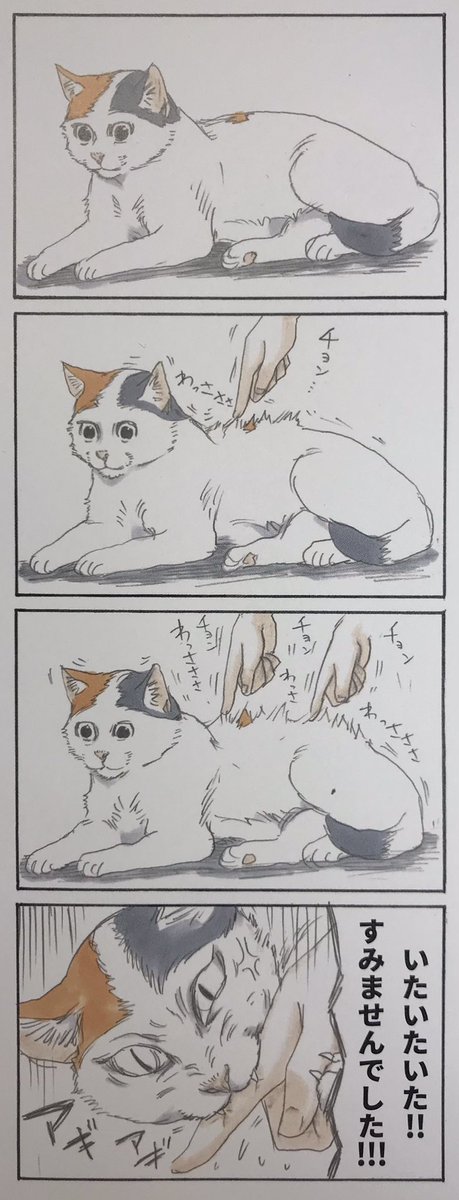 『拾い猫のモチャ』1巻収録 