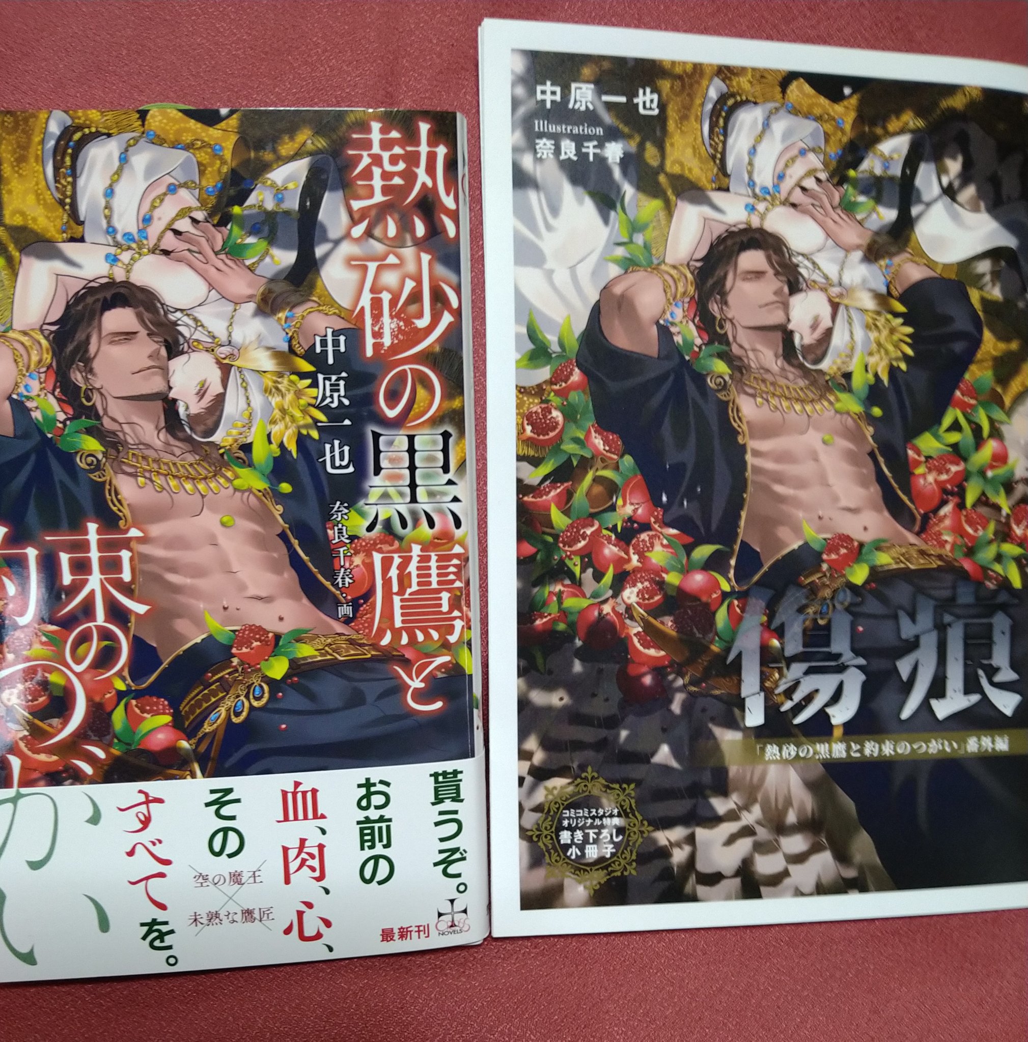 仕立屋も極道がお好き 中原一也原作 全サ番外ドラマCD