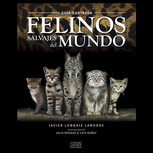 Work by Julia Roaux is so epic that she has drawn a complete guide with felines of whole world!Also very inspirational traditional and mixed 2-dimensional artist, offers a great luxury of details in her results! https://juliarouaux.com/&nbsp;