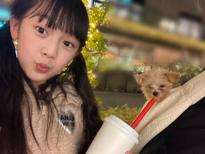 岡藤瑠々のTwitter画像17