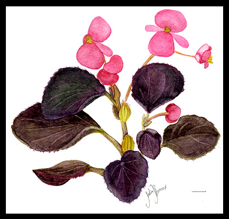 Work by Julia Roaux is so epic that she has drawn a complete guide with felines of whole world!Also very inspirational traditional and mixed 2-dimensional artist, offers a great luxury of details in her results! https://juliarouaux.com/&nbsp;