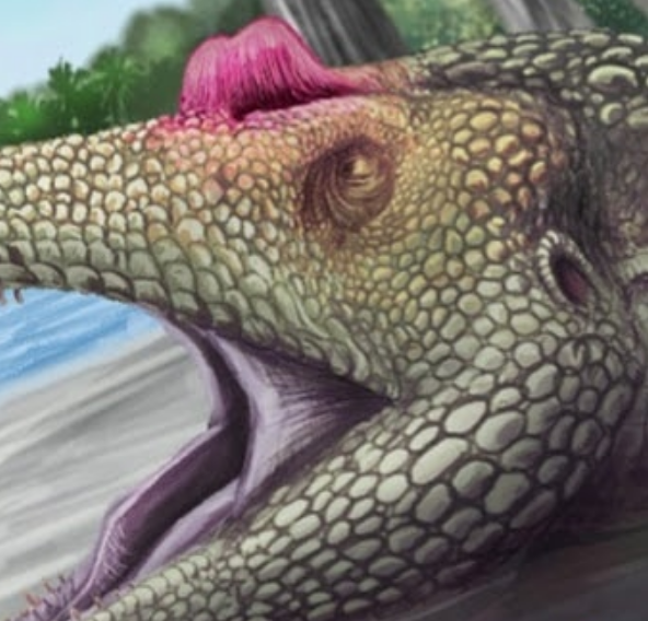 I've visited Chile twice and there is a great generation talented paleoartists like Katerin Guerrero, a very polifacetic and skilled illustrator. Really glad to have an original of "Don el Troodon Yeta" (Don the unfortunate Troodon in chilean spanish)  https://www.facebook.com/ilustracionesdv/