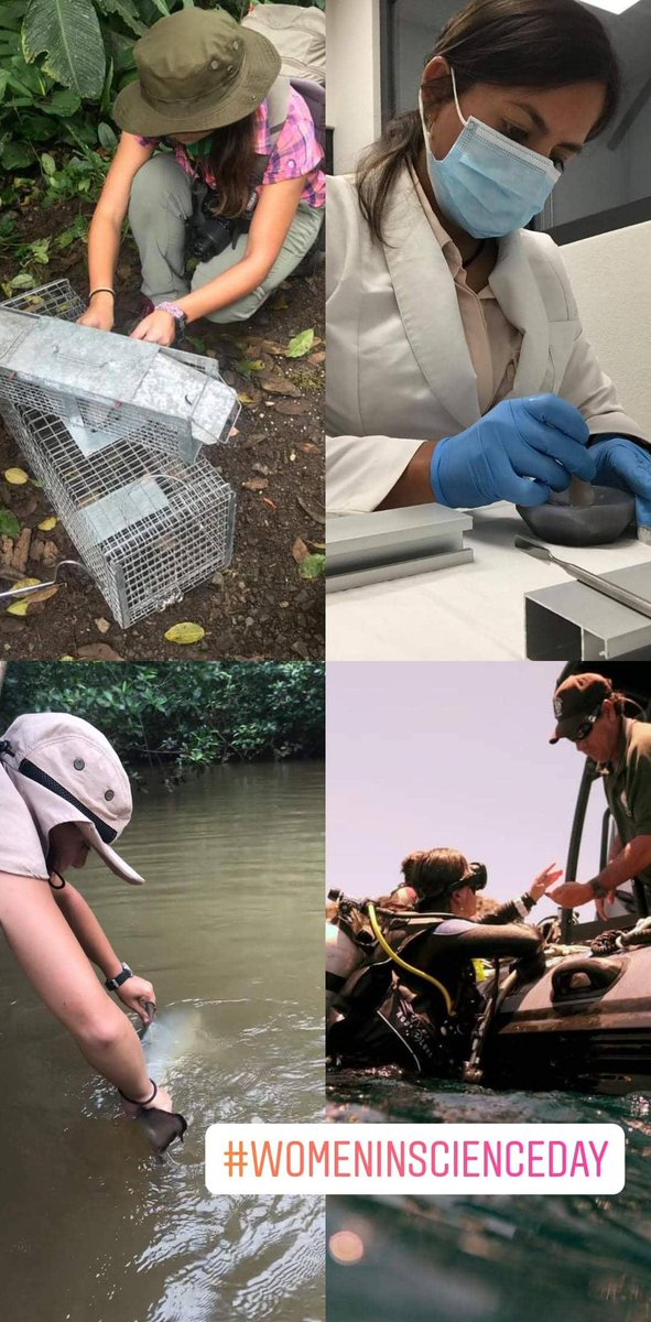 #DiaInternacionaldelaMujerEnLaCiencia #WomenInScience #WomenInScienceDay