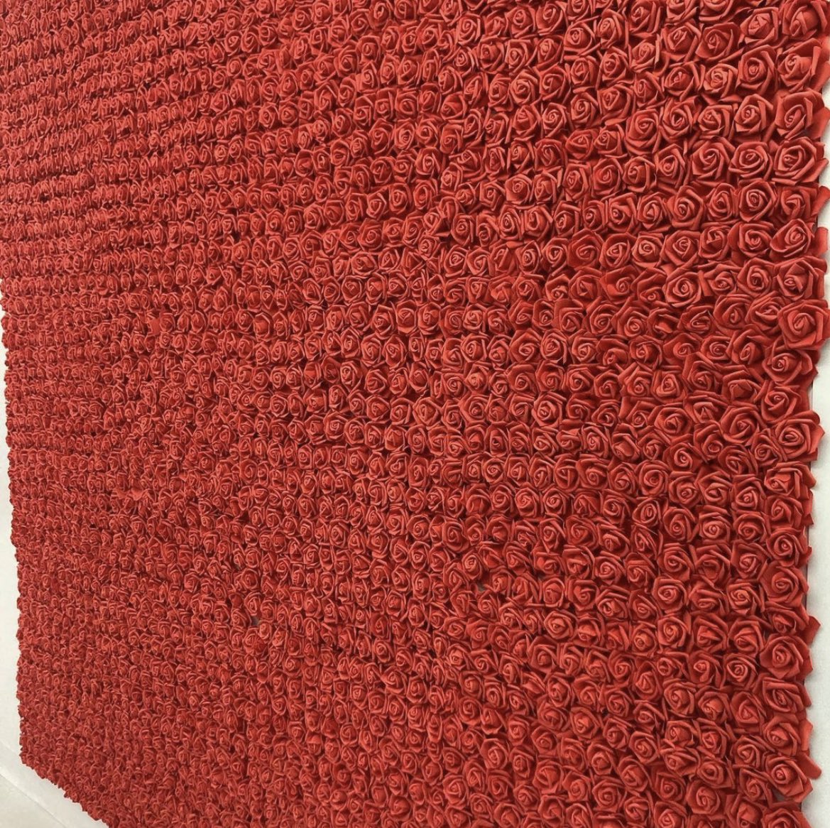 thefomofactory's tweet photo. Rose wall is up ! 🤪😍  
Come take your Valentine’s Day  photos at the fomo factory ! 
Valentine’s Day hours 12:00pm-5:00pm 💋 
For tickets click the link in bio ! https://t.co/44brE0li1w