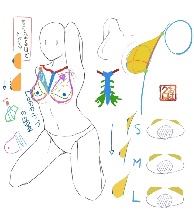 今日のおはようマッスルです。
 胸だけでこんなに沢山学ぶことがあるなんて、胸ってほんとに奥深いですね。無意識で描いてる人も沢山いるだろうけどこういうのは知ってて損はないですね。お疲れ様です。
#おはクロ 
