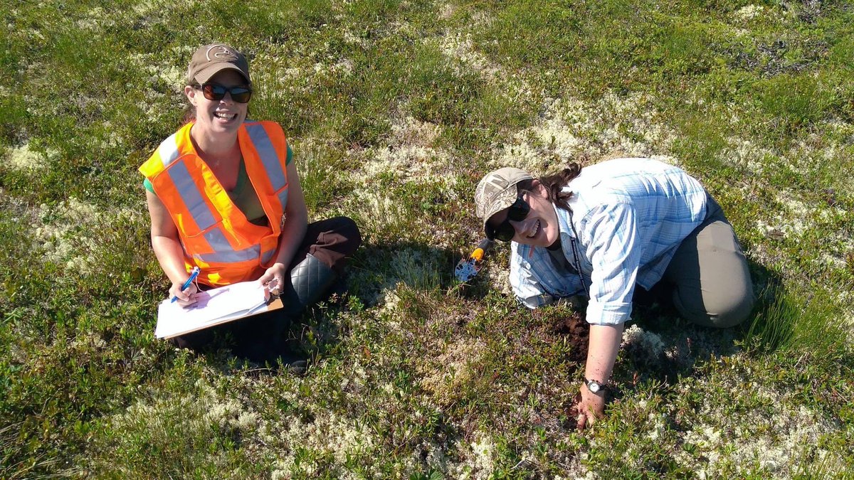 AtlanticDucks's tweet photo. From conducting research on fish passage, analyzing the ecosystem services wetlands provide, and inspiring the next generation of women in science through our ed programs, our Atlantic Team is proud to celebrate International Day of Women and Girls in Science today, and everyday. https://t.co/ED8S6zAtW7