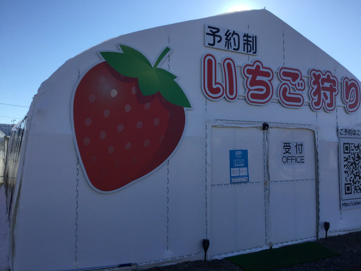 直売おやすみのお知らせ 毎日数多くの皆様のご来園ありがとうございます 連日多く方にイチゴ狩りに来ていただいており 高品質 21 02 12 佐久市 いちご狩り 井上寅雄農園 直売おやすみのお知らせ 毎日数多くの皆様のご来園ありがとうございます 連日多く方にイチゴ狩りに来ていただいており 高品質 21 02 12 佐久市 いちご狩り 井上寅雄農園