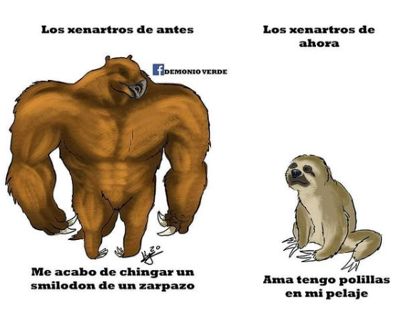 I've visited Chile twice and there is a great generation talented paleoartists like Katerin Guerrero, a very polifacetic and skilled illustrator. Really glad to have an original of "Don el Troodon Yeta" (Don the unfortunate Troodon in chilean spanish)  https://www.facebook.com/ilustracionesdv/