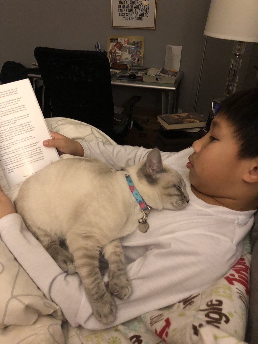 SRVUSD1's tweet photo. From Zoom-crashing to feline filters going viral, cats have really had their moment over the past year. We are so glad to have them as honorary SRVUSD students. #imherelive #ImNotACat #srvusd #srvusdremotelearning https://t.co/ot5WQse5zE