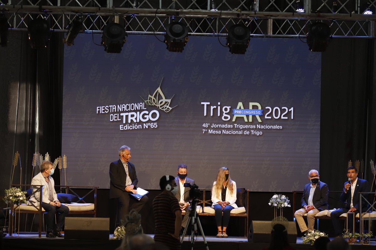 Gustavo Torregiani tweet media