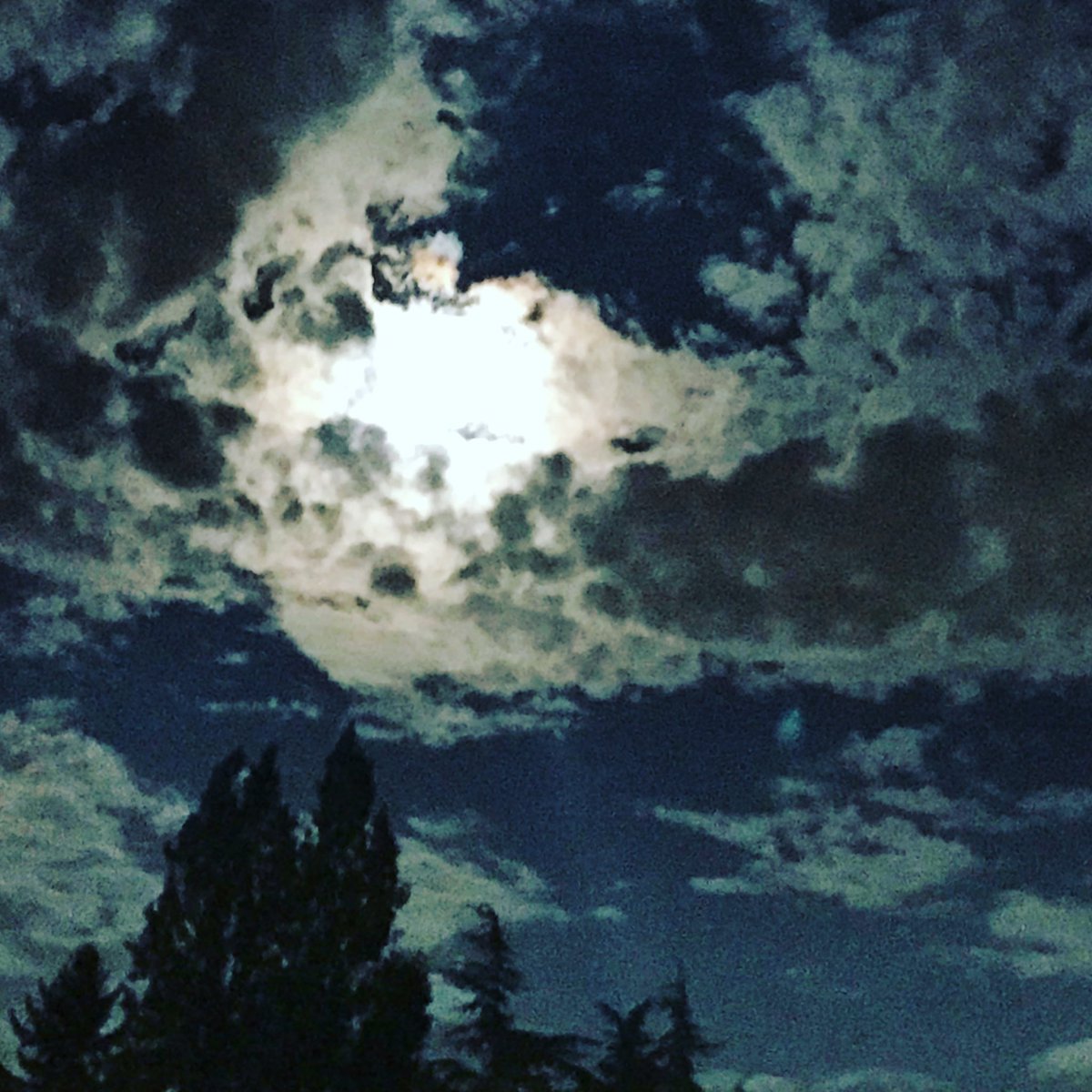 CrackpotHour's tweet photo. We are still on indefinite hiatus as we look for ways to make this self-produced heart project more sustainable into the future. Your intrepid hosts are tired but not yet vanquished!
.
Perhaps you have a suggestion, or maybe you know a #producer looking to volunteer?
.
#podcast https://t.co/sFx3b89SXn