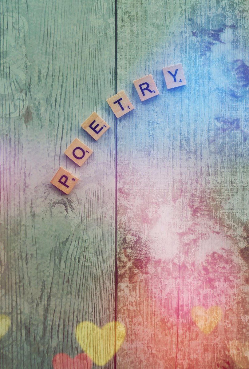 🌷 📚 𝚂𝚞𝚣𝚢 𝙷𝚊𝚣𝚎𝚕𝚠𝚘𝚘𝚍 📷🖊 tweet media
