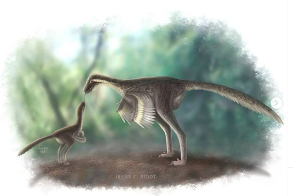 Irene C. Ribot has really stunning illustrations, amazing details with 0.03 ink markers, nice games of ligth and textures, a variated record... (and of course, troodontids) Wish someday I can watch her exhibited works at Girona when pandemy allows it. https://www.instagram.com/ene.ribot/&nbsp;