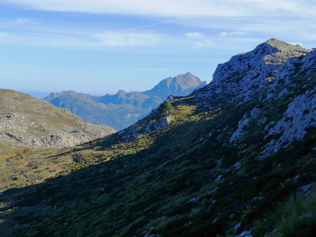 kassov's tweet photo. Día de 3 mils (EsTeix, Es Teixot i Puig des Vent) i alguns 900 (Puig Gross, Es Cargolí, etc.) des de Valldemossa. Gaudint de la Serra 21 km.

#Teix #Teixot #PuigDesVent #EsCargolí #SerraDeTramuntana #ParadisNostro #Mediterrani #Mallorca #Balears
#Treking #TerraNostra #Valldemossa https://t.co/3Z3Ml5MzuV
