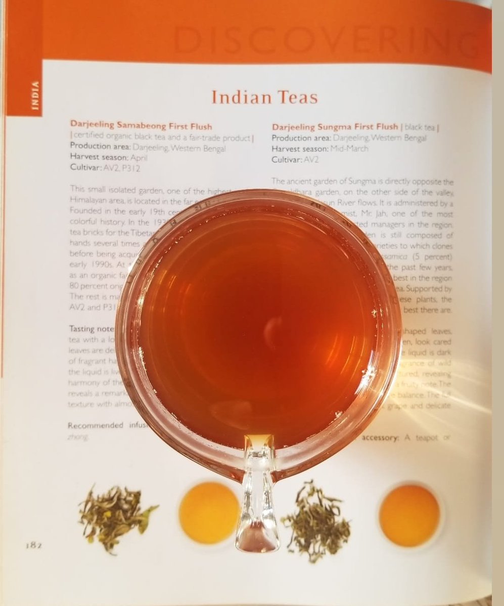 Shop for finest garden direct teas from Darjeeling &amp; Assam
TEAOTEA.COM