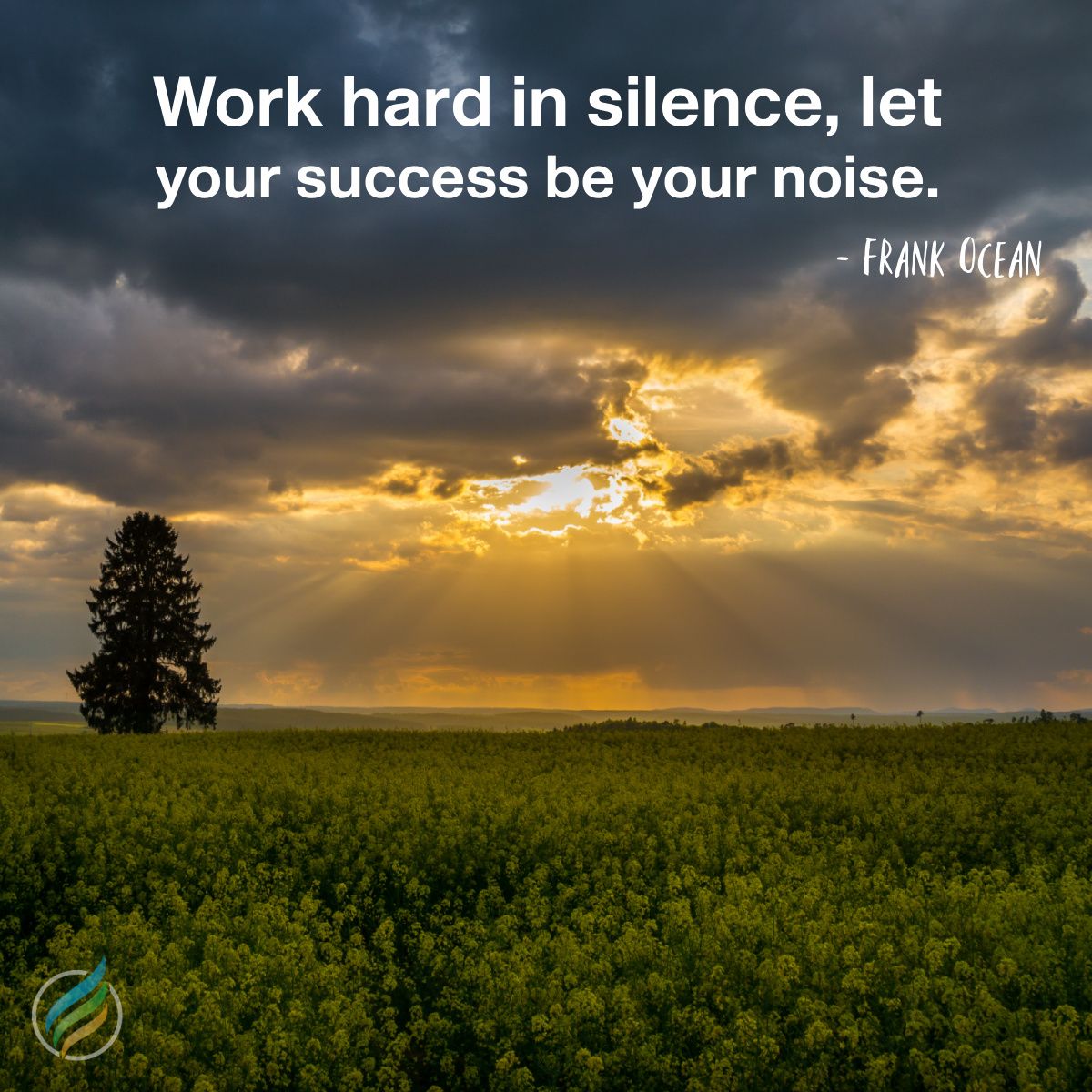 yourgrowth's tweet photo. "Work hard in silence, let your success be your noise." #FrankOcean #WorkHardInSilence #Growth https://t.co/nl9QdEbFBg