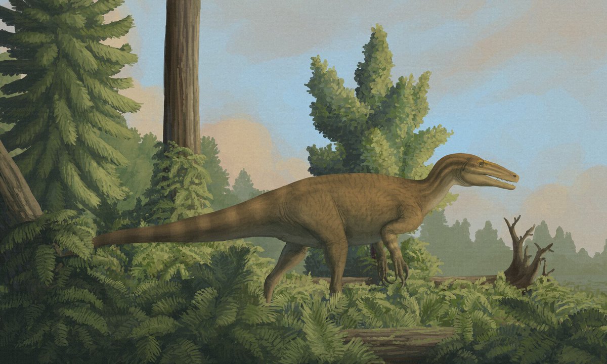 Also enjoy following Ashley Patch. Great and aesthetical scenes and acurately take on anatomy. Very inspirational and didactical. I want to specially highlight the Mutaburrasaurus skeletal, one of my favorite non-theropod dinosaurs. https://www.artstation.com/ashleypatch&nbsp;