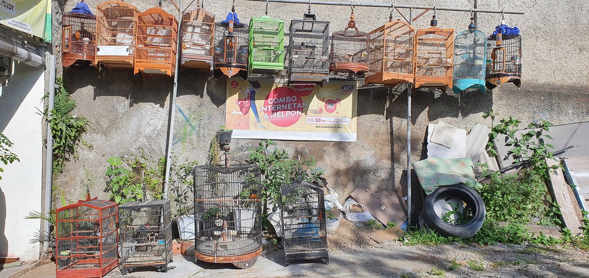 BANDUNG FESS | Kirim menfess cek 📌 tweet media