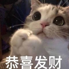 Halfmaker1's tweet image. 新年快乐！