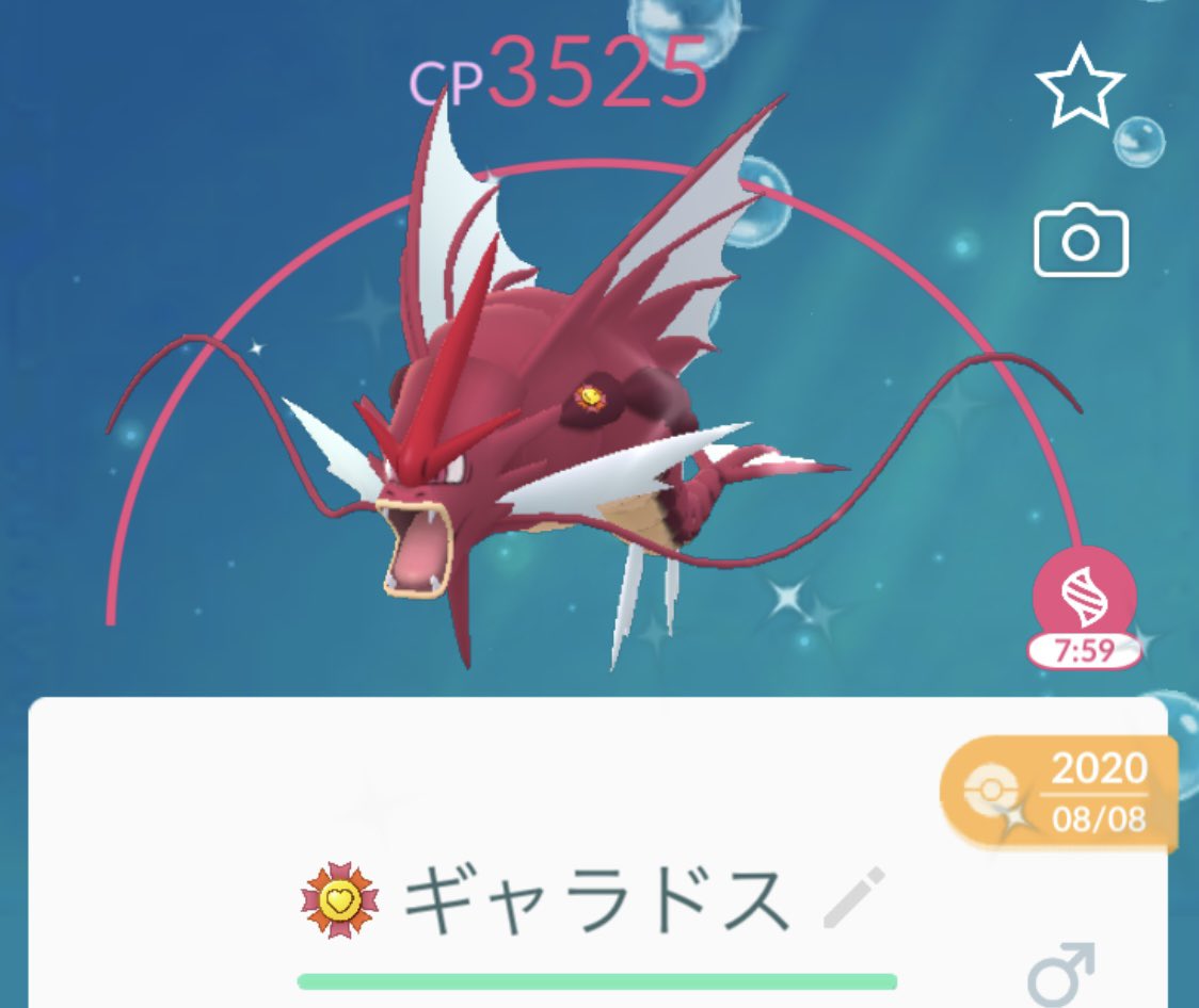 ポケモンgo部 ロケットニュース24 図鑑のオスメス埋めのため赤ギャラドスをメガシンカ やっぱり赤ギャラドスはカッコいいなぁ それにしてもメガレイド過疎るの早すぎ サンジュン T Co 7oac35lj0p Twitter