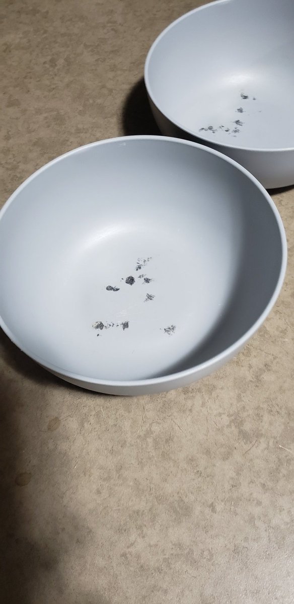 GanonAlex's tweet image. Today I will explain to wife why ash trays were invented.... tomorrow I will buy new bowls because it will be made clear to me that it's my fault for buying plastic dishes 
#marriage #FirstWorldProblems #ThursdayThoughts