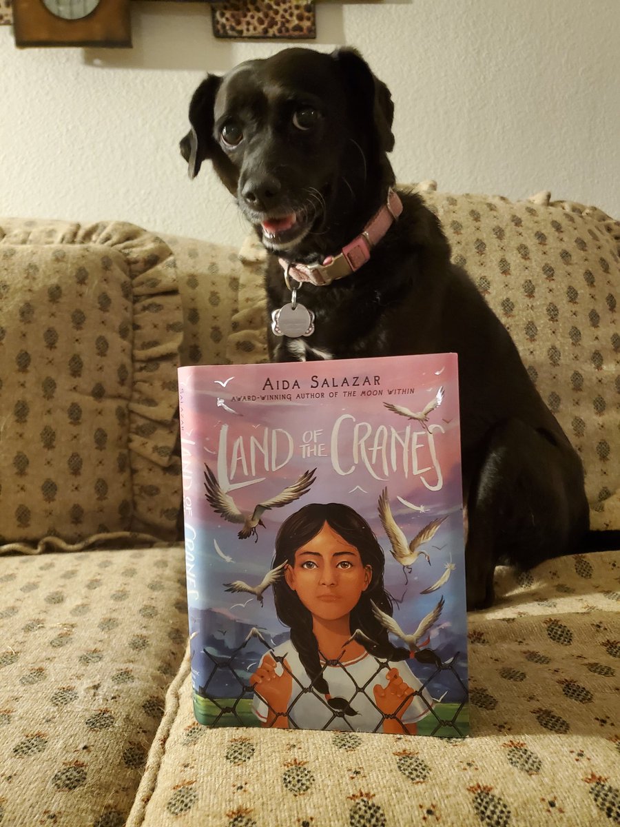 Loved this beautiful, heartbreaking book, told in lyrical verse, about a Mexican American girl held in a detention center at the US border.  #LandOfTheCranes #middlegradenovel #ownvoices #AidaSalazar