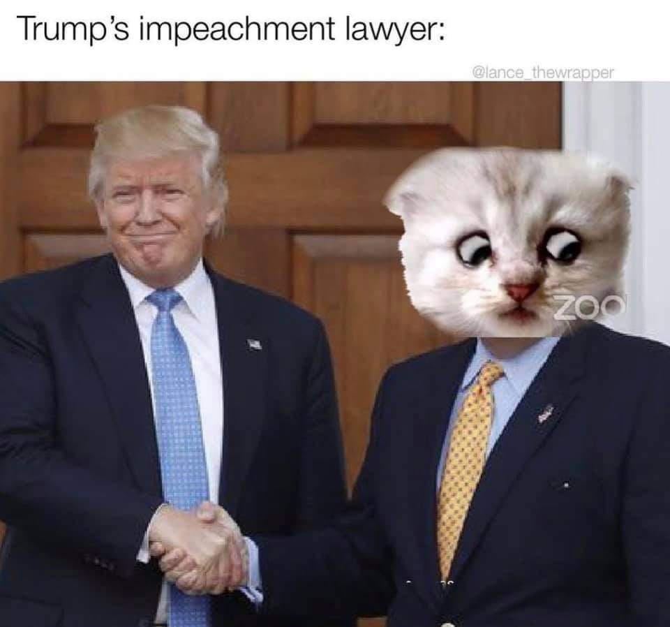 dnadot's tweet image. 