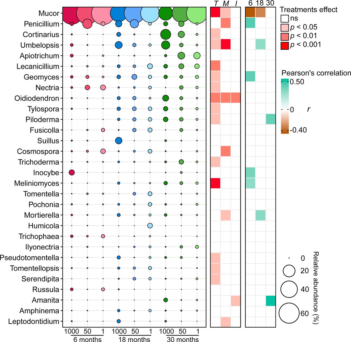 Our new paper about the very late stages of fungal necromass decomposition is out. 

Great collaboration with Bartosz Adamczyk, @UMNFuN, @JHeinonsalo and @mrmbuee. 

onlinelibrary.wiley.com/doi/abs/10.111…