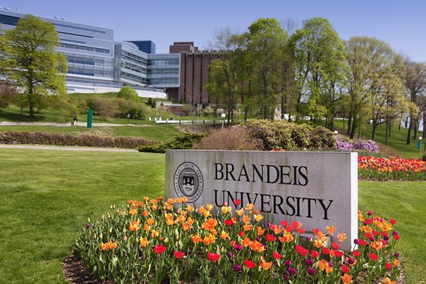Glotrix41's tweet photo. I am so excited to announce that I have decided to further my academic and athletic career playing softball at Brandeis University!! 🥰 Thank you to everyone that has helped me along the way! Go Judges! 💙🧑‍⚖️🤍 https://t.co/d6jdtZEyoD