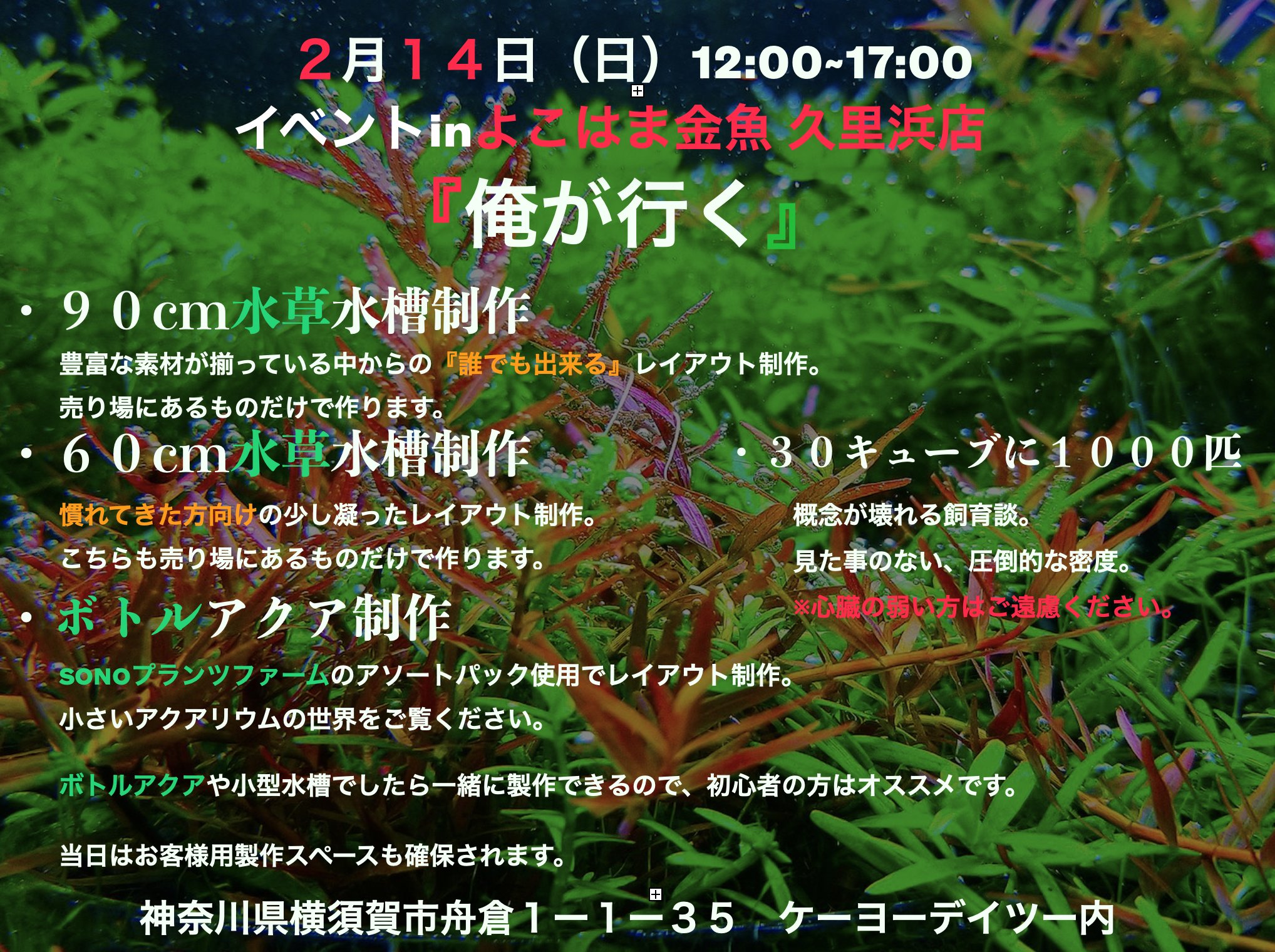 تويتر よこはま金魚久里浜店 على تويتر イベントのボトルアクア制作の用品類が届きましたよ おしゃれ あとは水草と石と流木が届けば完璧ですね よこはま金魚 久里浜 横須賀 熱帯魚 アクアリウム ボトルアクアリウム T Co C3gg7nwobo