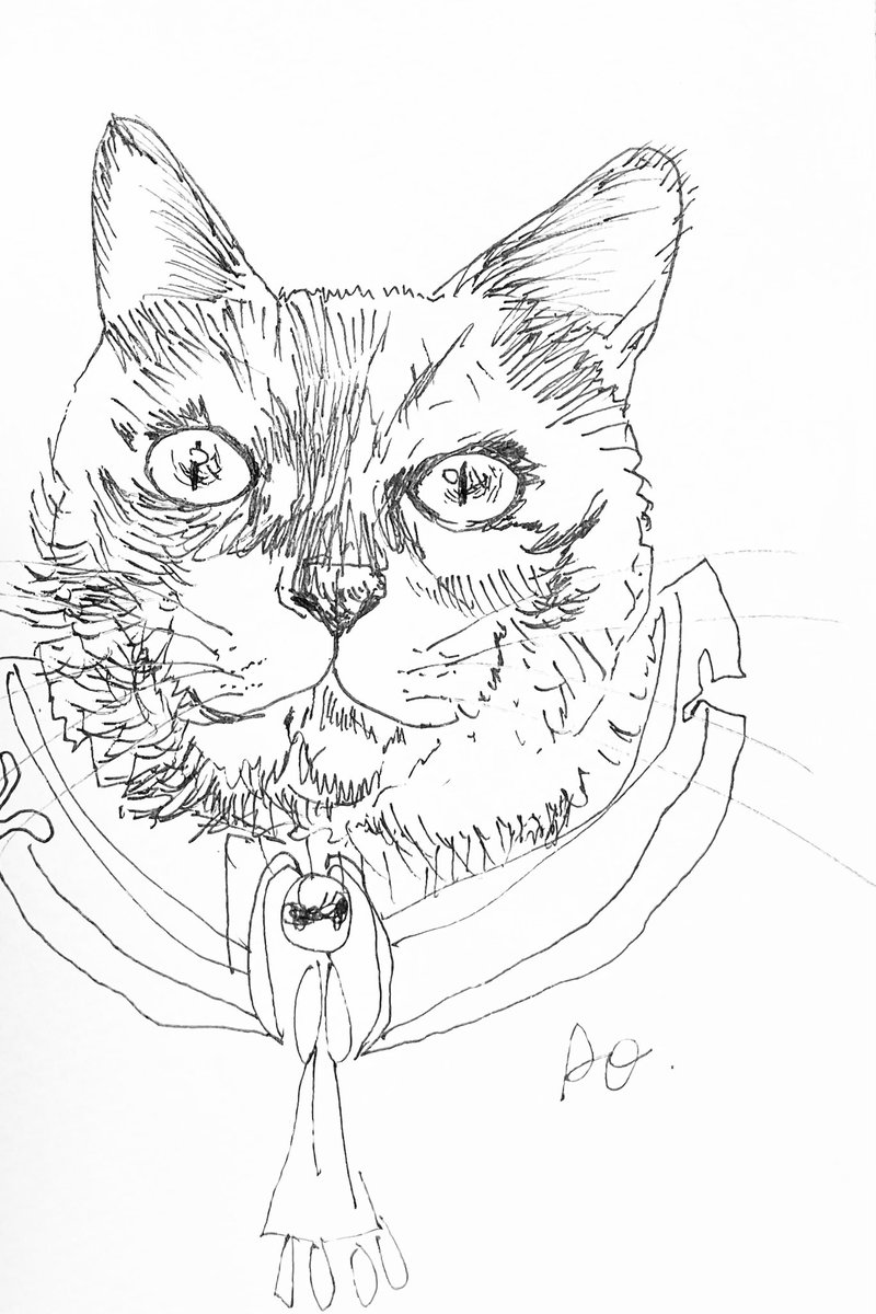 あおニャーマン サビ猫 猫イラスト 猫の絵画 猫の絵 ペン画 アナログ絵 なまねこ 猫の国 絵本 猫作家 作家 猫画家 画家 イラストレーター イラストレーション ネコ ねこ 動物画 あおニャーマン あおニャーマン サビ猫 猫イラスト 猫の絵画 猫の絵 ペン画 アナログ絵 なまねこ 猫の国 絵本 猫作家 作家 猫画家 画家 イラストレーター イラストレーション ネコ ねこ 動物画 あおニャーマン