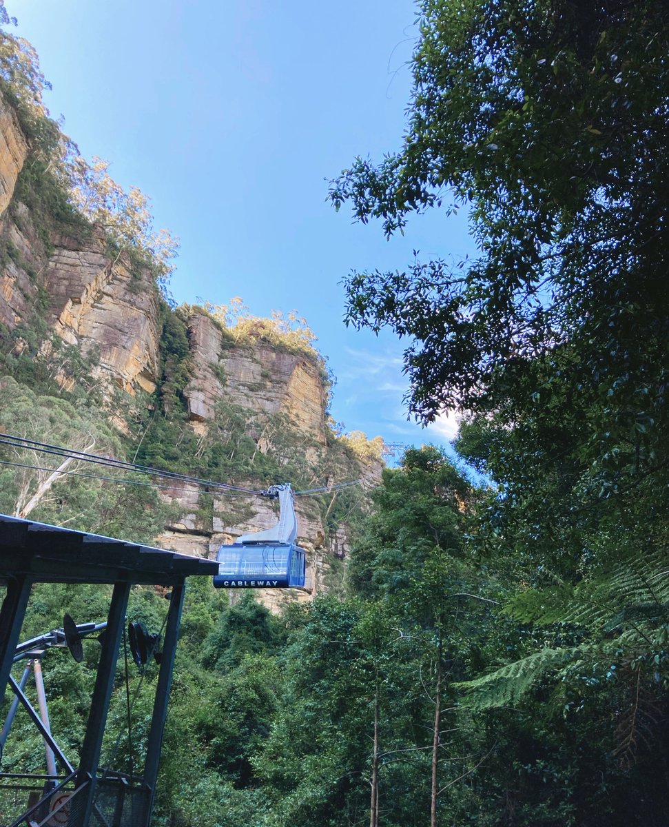 Can you believe the new #ScenicCableway launched over two years ago now? Time flies when you're gliding in and out of the Jamison Valley every day!⛰🚠☁️ 📍 Scenic World Blue Mountains 📸 IG krisssyv #ScenicWorld_Aus #VisitBlueMountains #LoveNSW