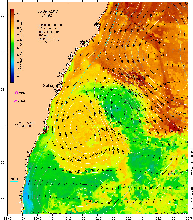 moninya's tweet image. Want to know what great white sharks have to do with #EAC eddy dipoles?  Come to my @AMOSupdates talk at 5.15pm AEST today. #AMOS2021 @IMOS_AUS