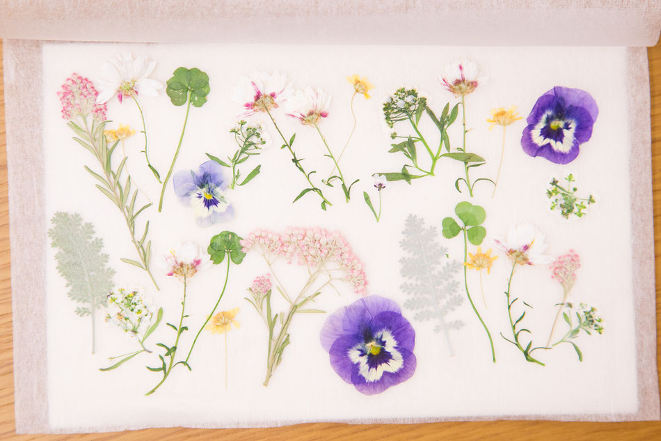 ars_edge's tweet photo. 《切る》から生まれる美しさ をテーマにアーティストの作品やその想いを届けるWebギャラリー・CHOKI galleryにご登場頂いた作家さんご愛用の #iDChoki ✂ 多肉・野の花雑貨作家〈hana〉さんの制作風景や撮影時のインタビューはコチラ▷https://t.co/kuLH4BNn8m
#ハンドメイド好きさんとつながりたい https://t.co/jIafJLpjqL