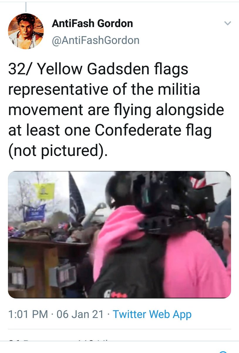 38. 1/6 Identifies the Dont Tread on Me flag as representative of militia.